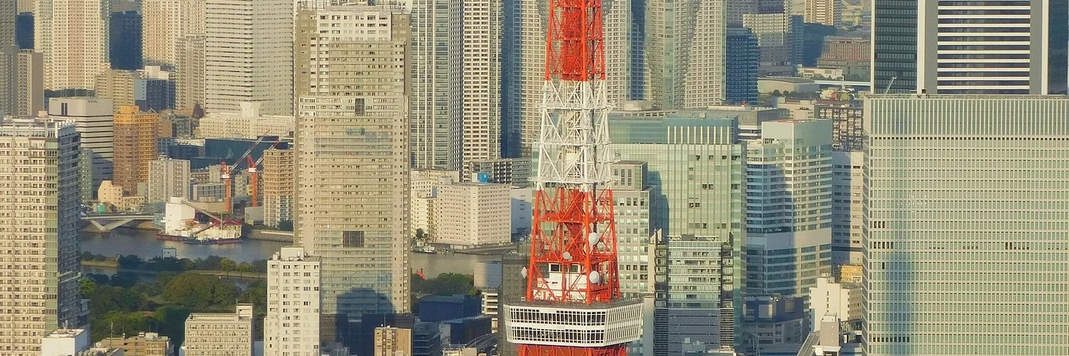 Tour de Tokyo et métropole tokyoïte avec le mont Fuji, Japon